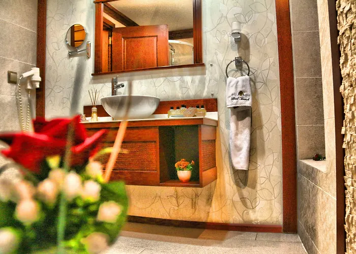 Bosnali Готель 3*